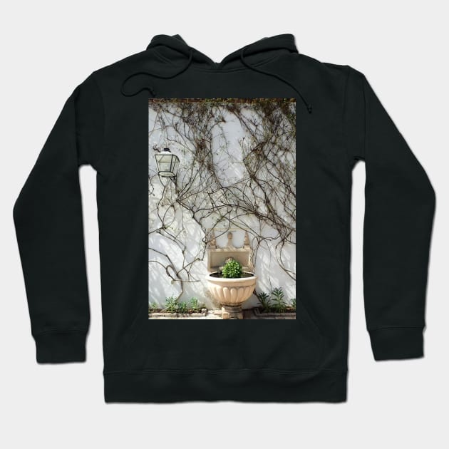 Winter Garden Hoodie by SHappe